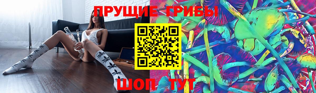 Галлюциногенные грибы Psilocybine cubensis Нерюнгри